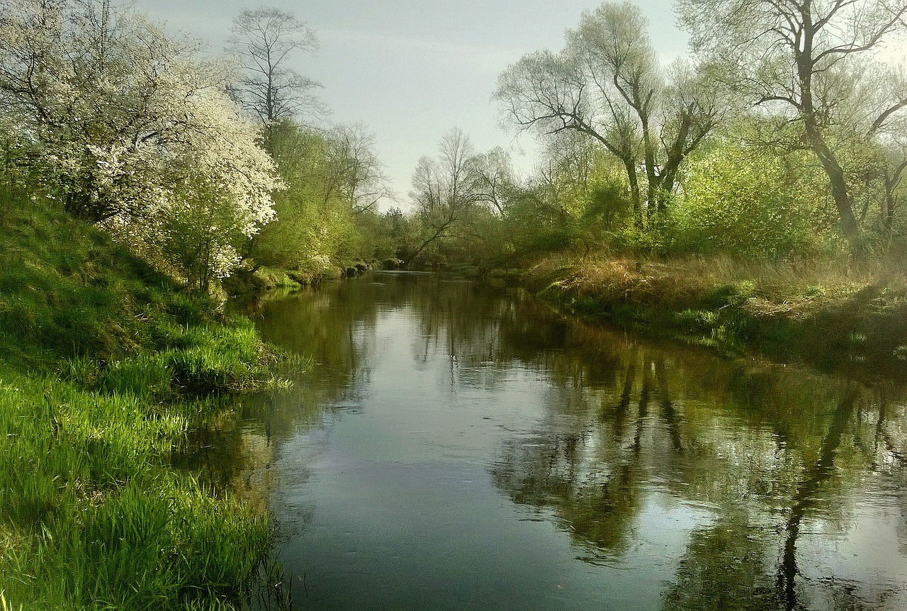 Bitmine (BMNR) Jumps 12% as ETH Soars to New High